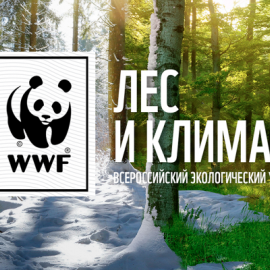 разработка экологической игры экологического урока лес и климат лесклимат.рф
